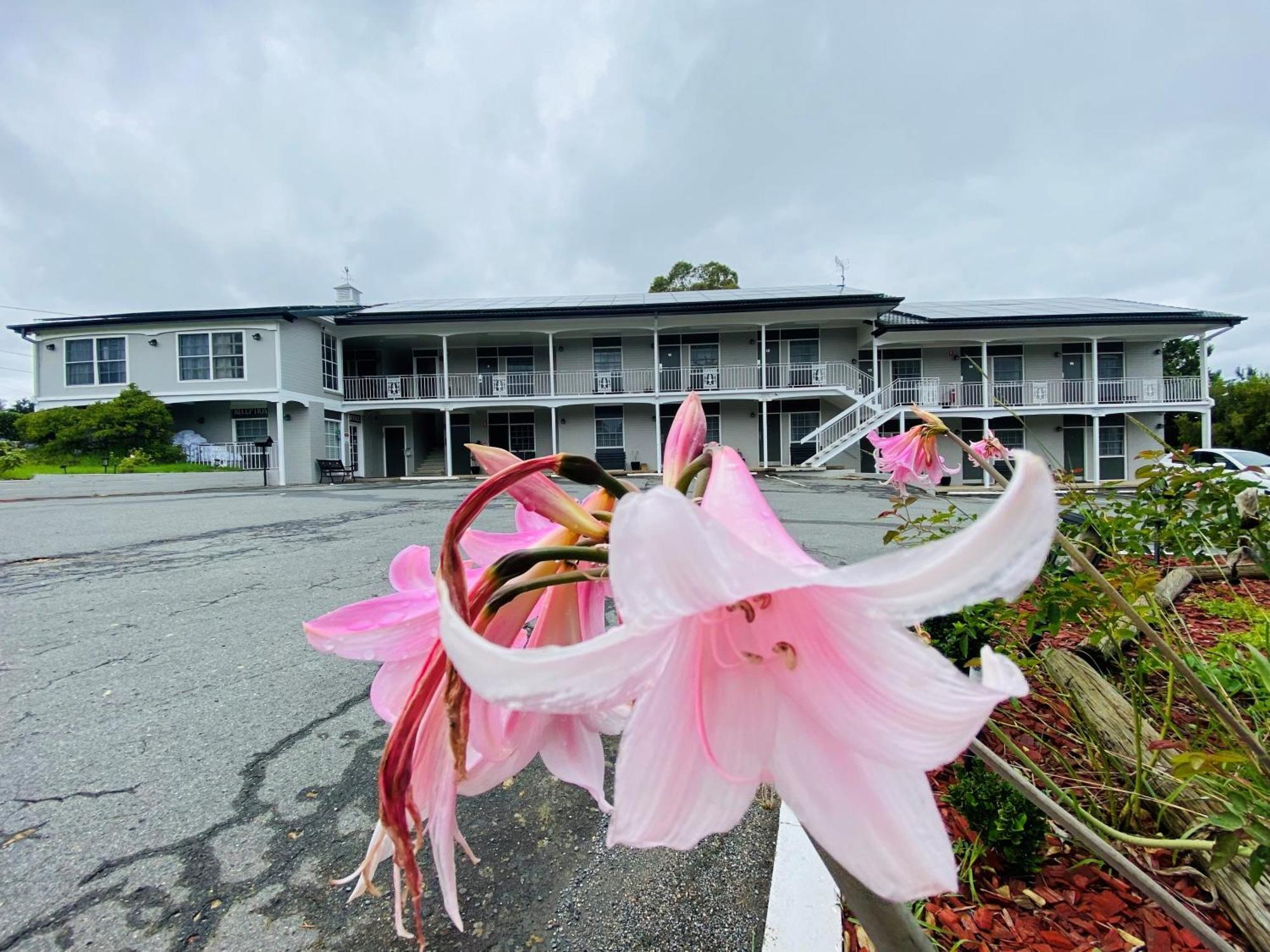 יאס Colonial Lodge Motor Inn מראה חיצוני תמונה